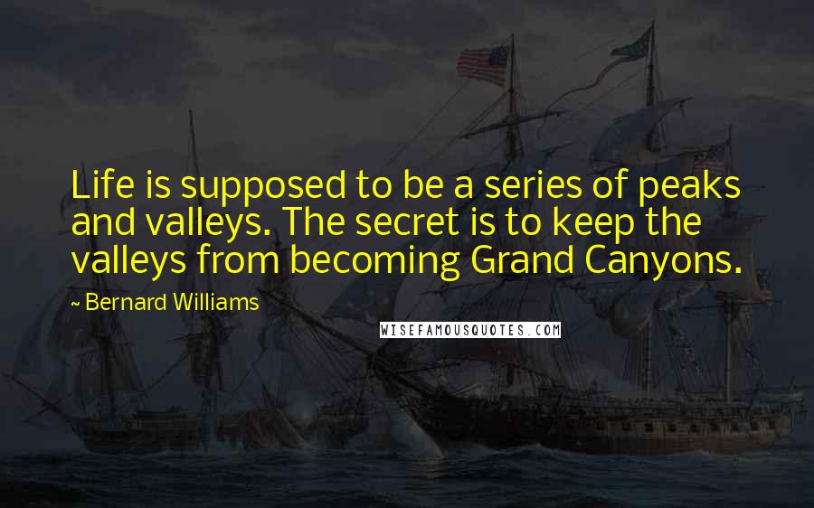 Bernard Williams Quotes: Life is supposed to be a series of peaks and valleys. The secret is to keep the valleys from becoming Grand Canyons.