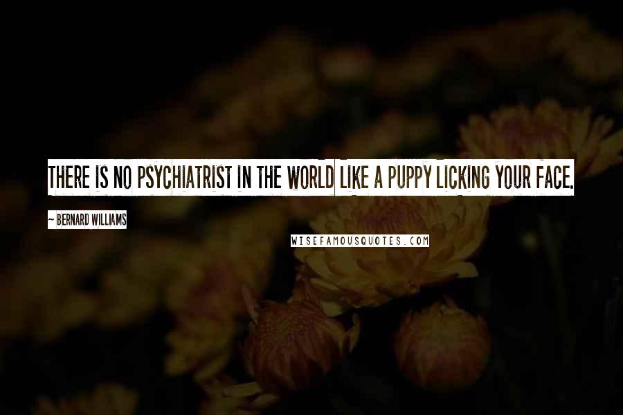 Bernard Williams Quotes: There is no psychiatrist in the world like a puppy licking your face.