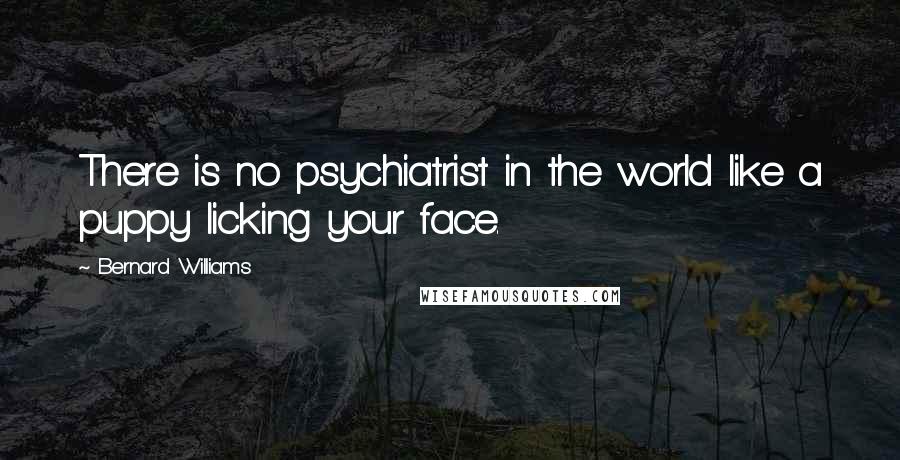 Bernard Williams Quotes: There is no psychiatrist in the world like a puppy licking your face.