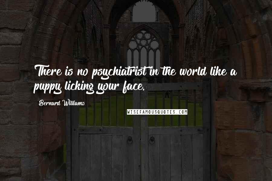 Bernard Williams Quotes: There is no psychiatrist in the world like a puppy licking your face.