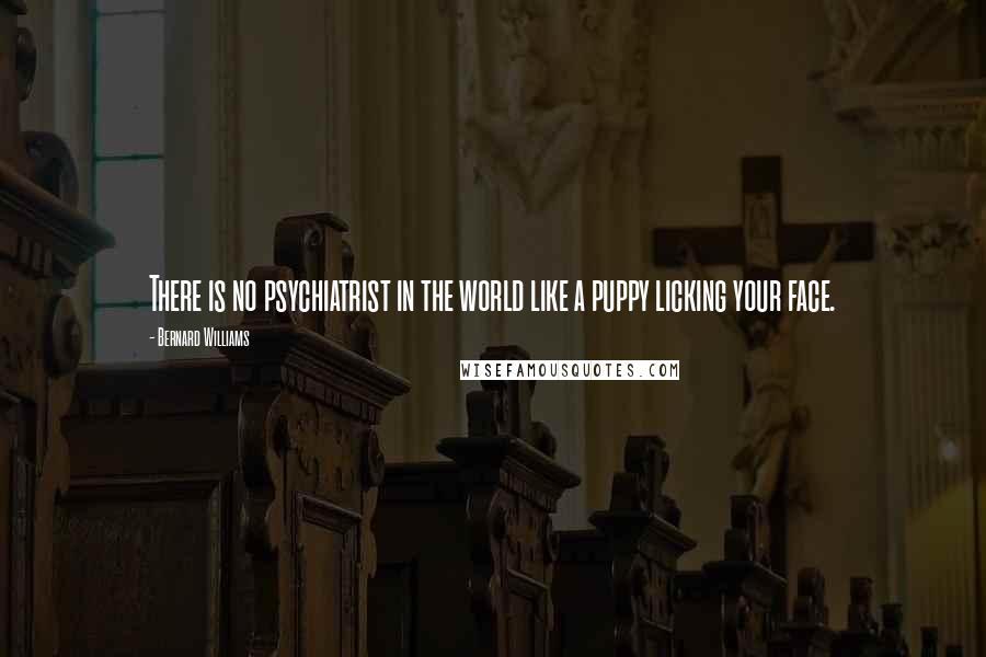 Bernard Williams Quotes: There is no psychiatrist in the world like a puppy licking your face.