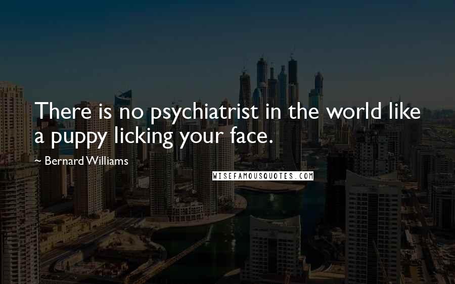 Bernard Williams Quotes: There is no psychiatrist in the world like a puppy licking your face.