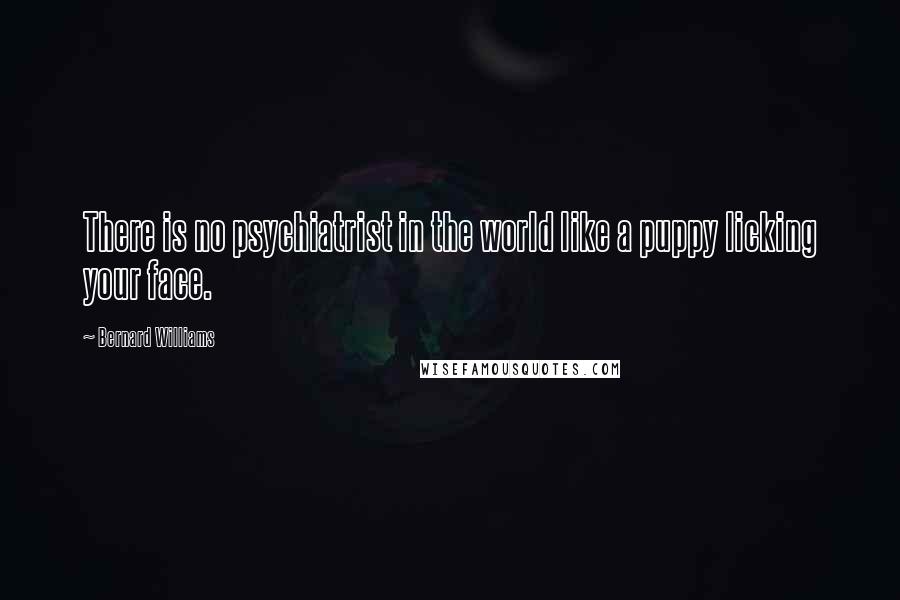 Bernard Williams Quotes: There is no psychiatrist in the world like a puppy licking your face.