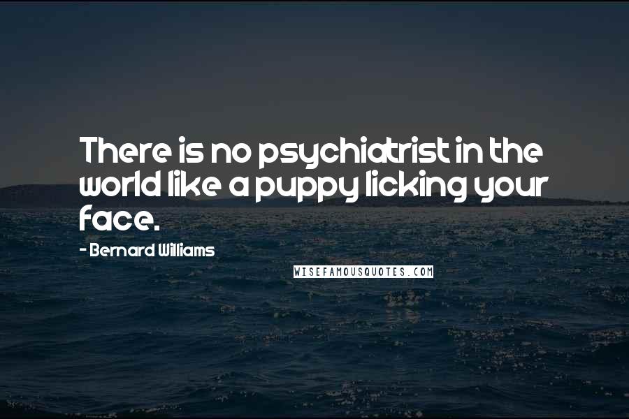 Bernard Williams Quotes: There is no psychiatrist in the world like a puppy licking your face.