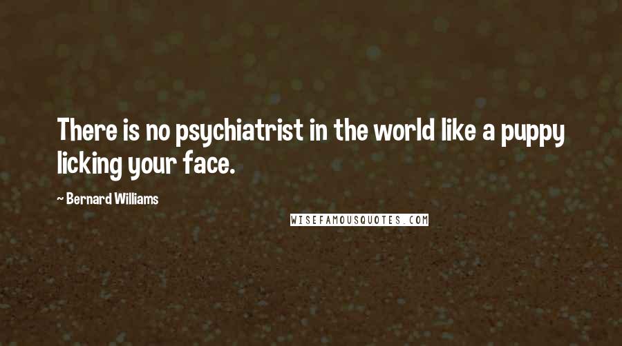 Bernard Williams Quotes: There is no psychiatrist in the world like a puppy licking your face.