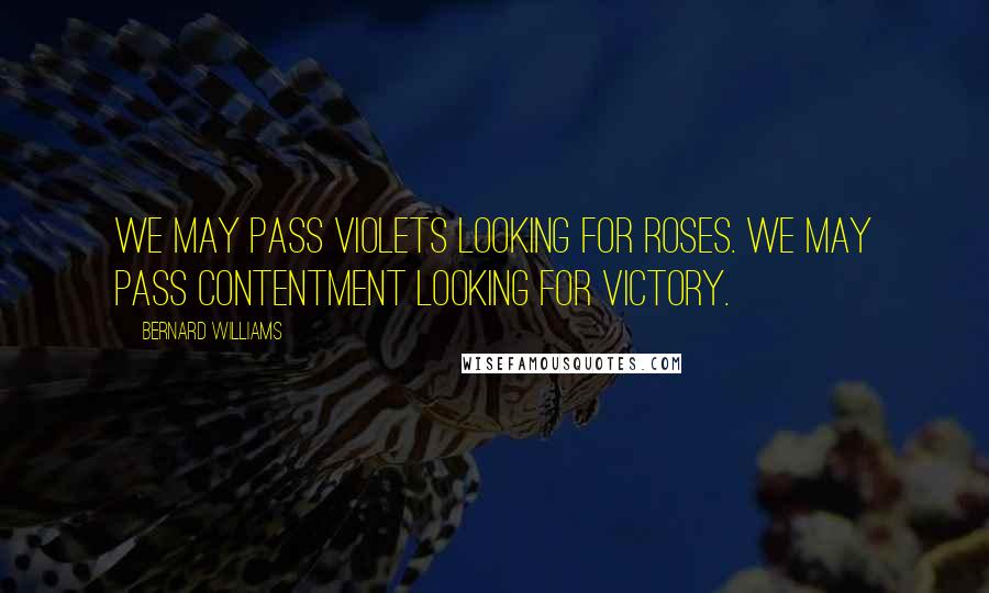 Bernard Williams Quotes: We may pass violets looking for roses. We may pass contentment looking for victory.