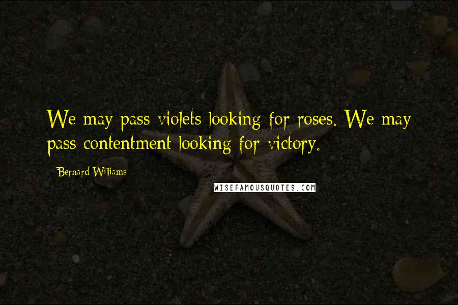 Bernard Williams Quotes: We may pass violets looking for roses. We may pass contentment looking for victory.