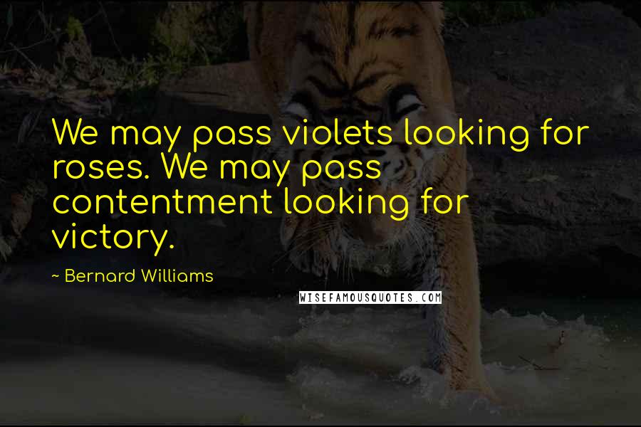 Bernard Williams Quotes: We may pass violets looking for roses. We may pass contentment looking for victory.