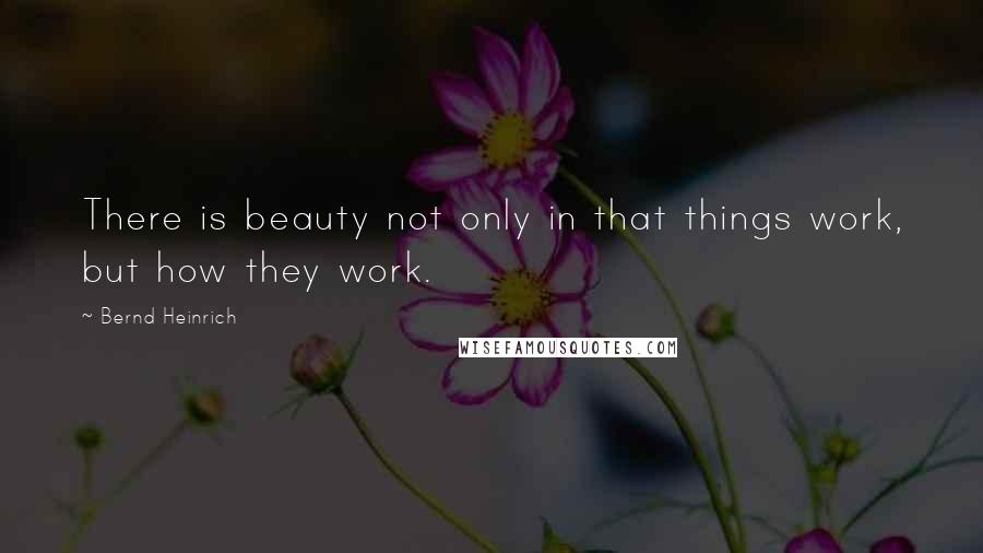 Bernd Heinrich Quotes: There is beauty not only in that things work, but how they work.