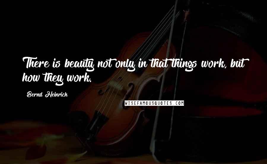 Bernd Heinrich Quotes: There is beauty not only in that things work, but how they work.