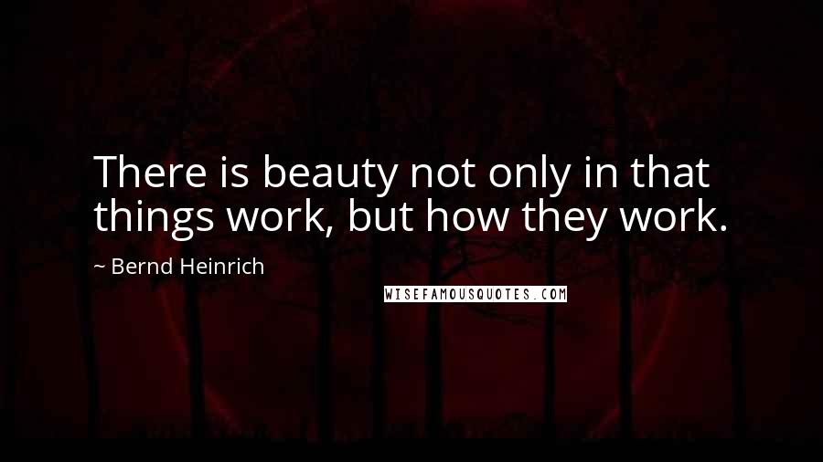 Bernd Heinrich Quotes: There is beauty not only in that things work, but how they work.