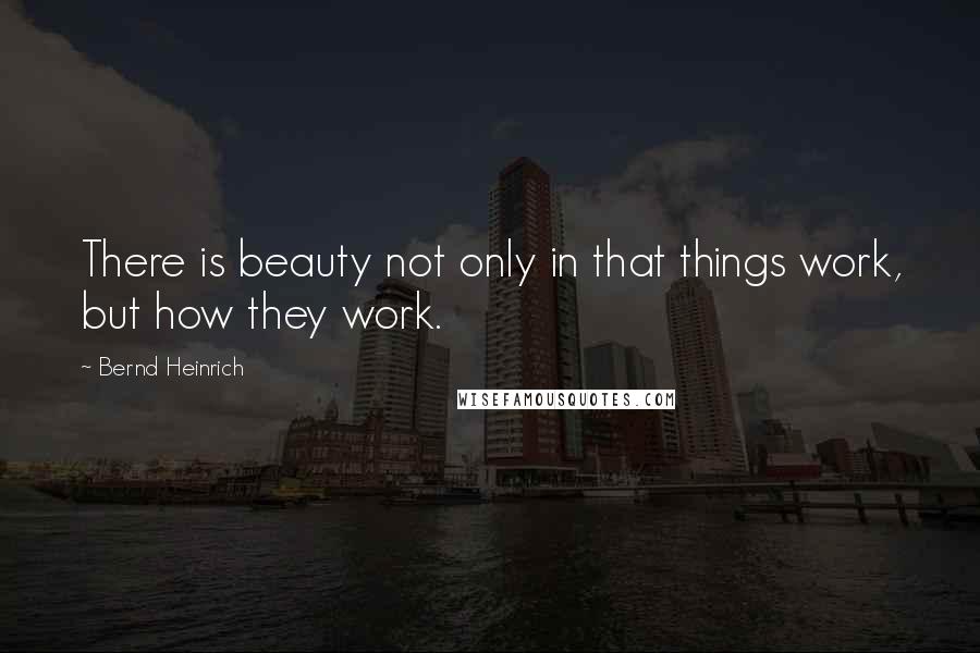 Bernd Heinrich Quotes: There is beauty not only in that things work, but how they work.