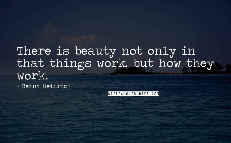 Bernd Heinrich Quotes: There is beauty not only in that things work, but how they work.