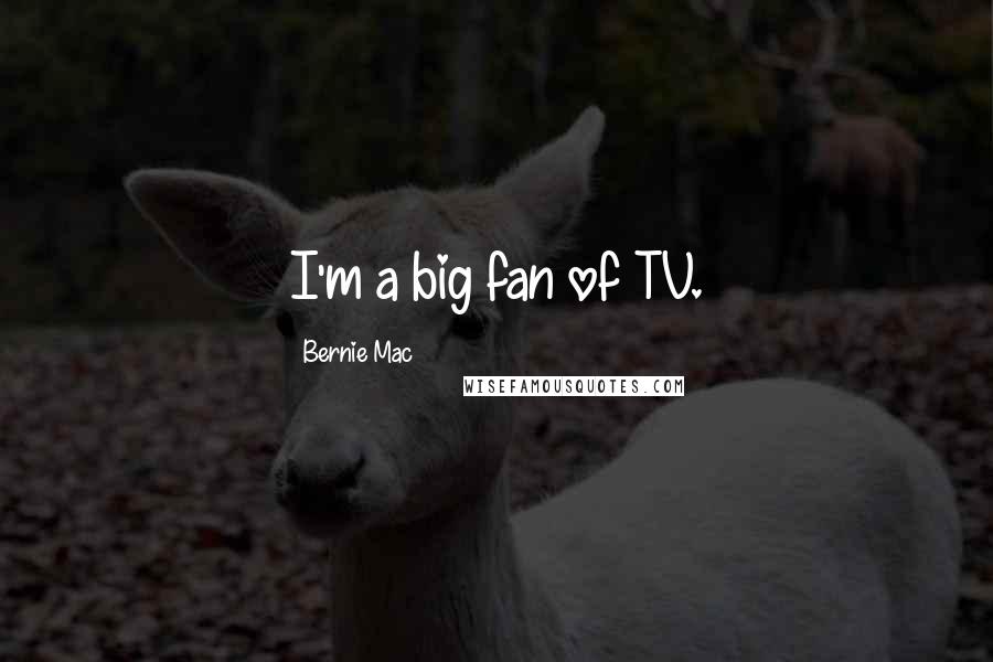 Bernie Mac Quotes: I'm a big fan of TV.