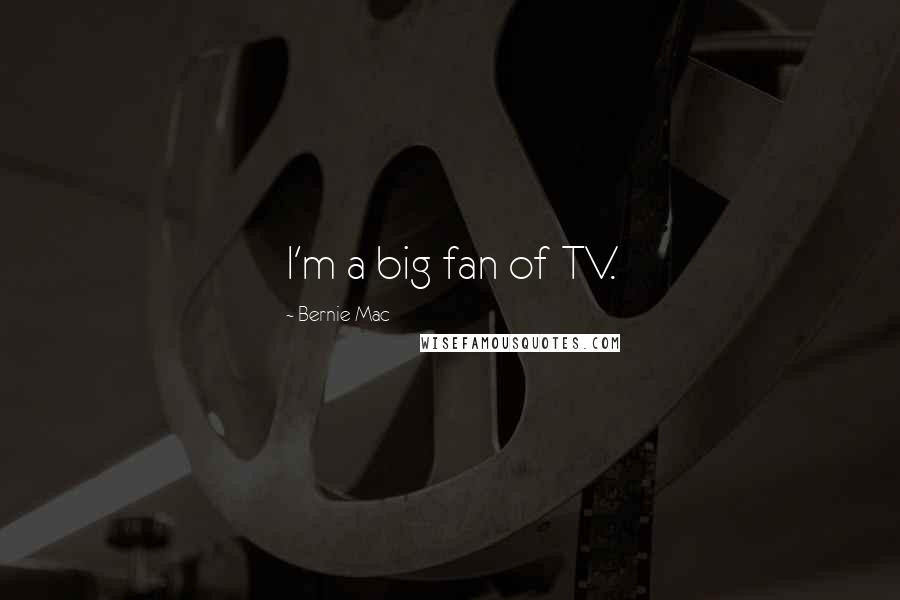 Bernie Mac Quotes: I'm a big fan of TV.