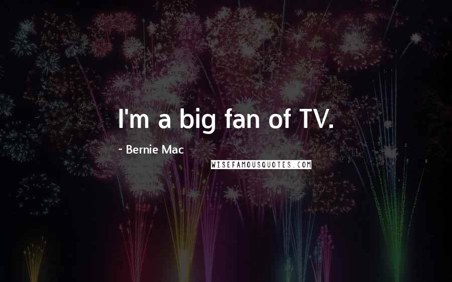 Bernie Mac Quotes: I'm a big fan of TV.