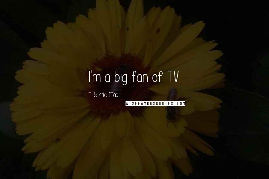 Bernie Mac Quotes: I'm a big fan of TV.