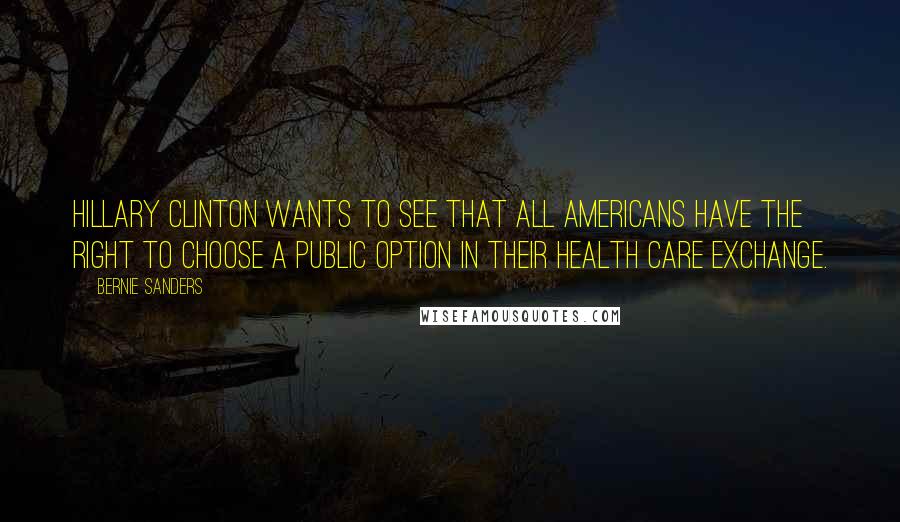 Bernie Sanders Quotes: Hillary Clinton wants to see that all Americans have the right to choose a public option in their health care exchange.