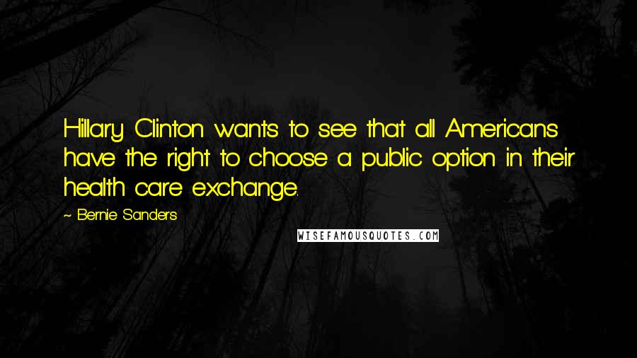 Bernie Sanders Quotes: Hillary Clinton wants to see that all Americans have the right to choose a public option in their health care exchange.