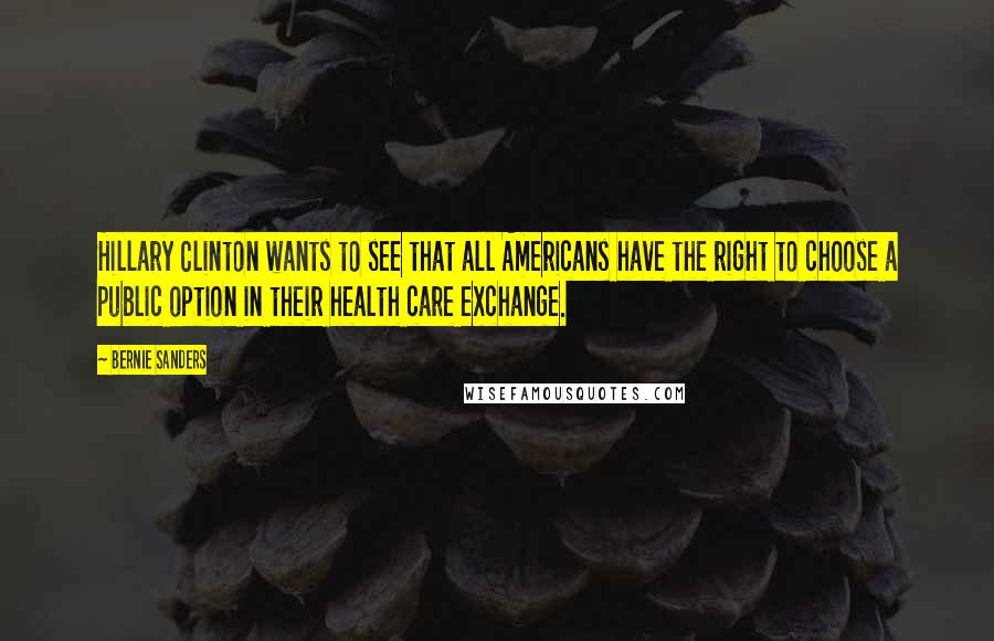 Bernie Sanders Quotes: Hillary Clinton wants to see that all Americans have the right to choose a public option in their health care exchange.