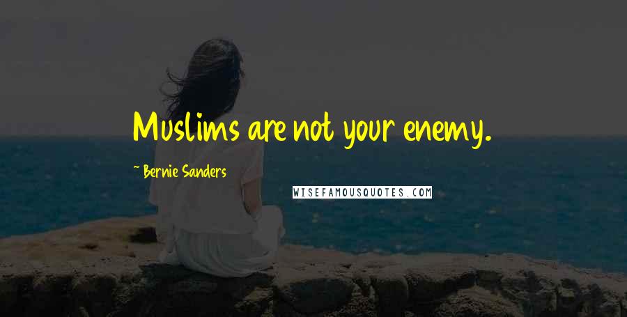 Bernie Sanders Quotes: Muslims are not your enemy.