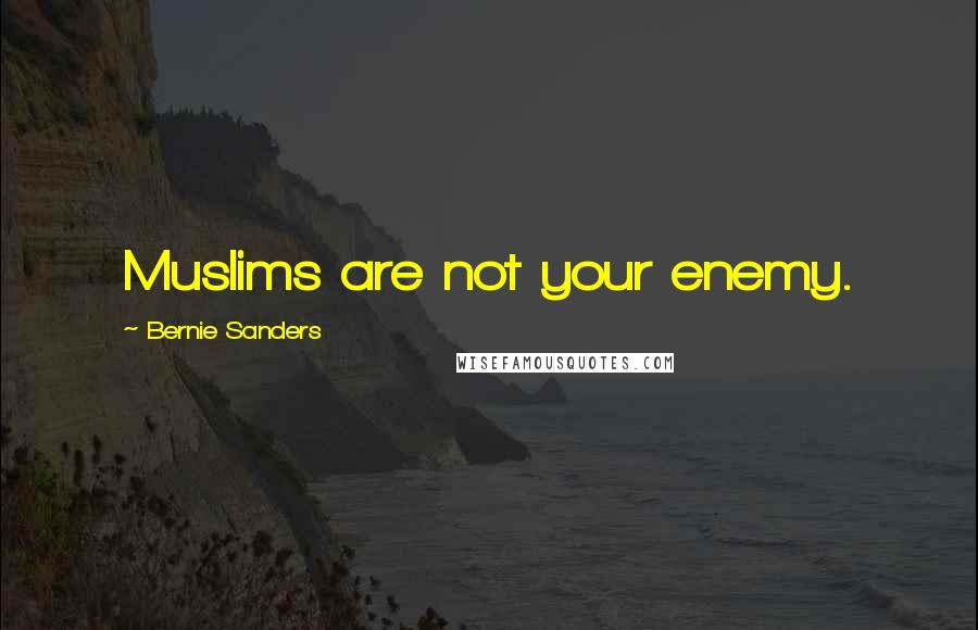 Bernie Sanders Quotes: Muslims are not your enemy.