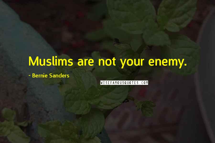 Bernie Sanders Quotes: Muslims are not your enemy.