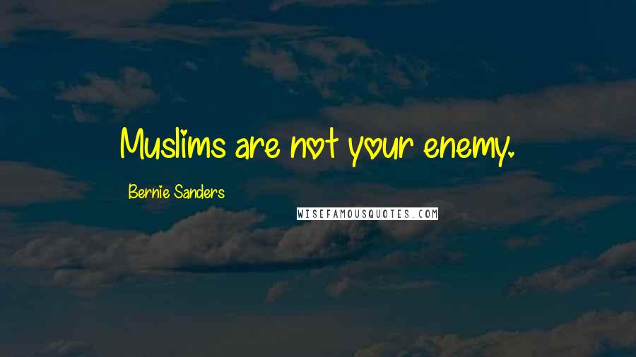 Bernie Sanders Quotes: Muslims are not your enemy.