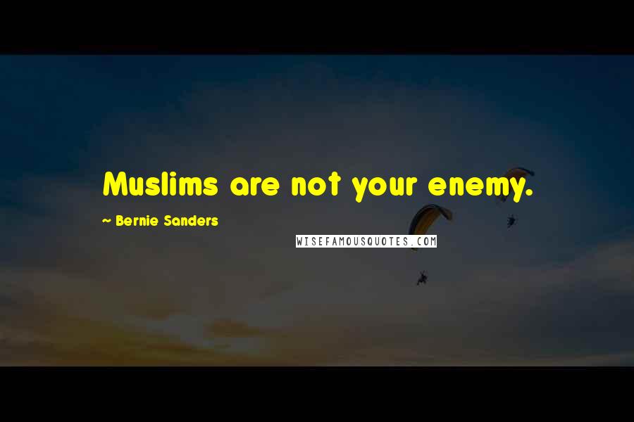 Bernie Sanders Quotes: Muslims are not your enemy.
