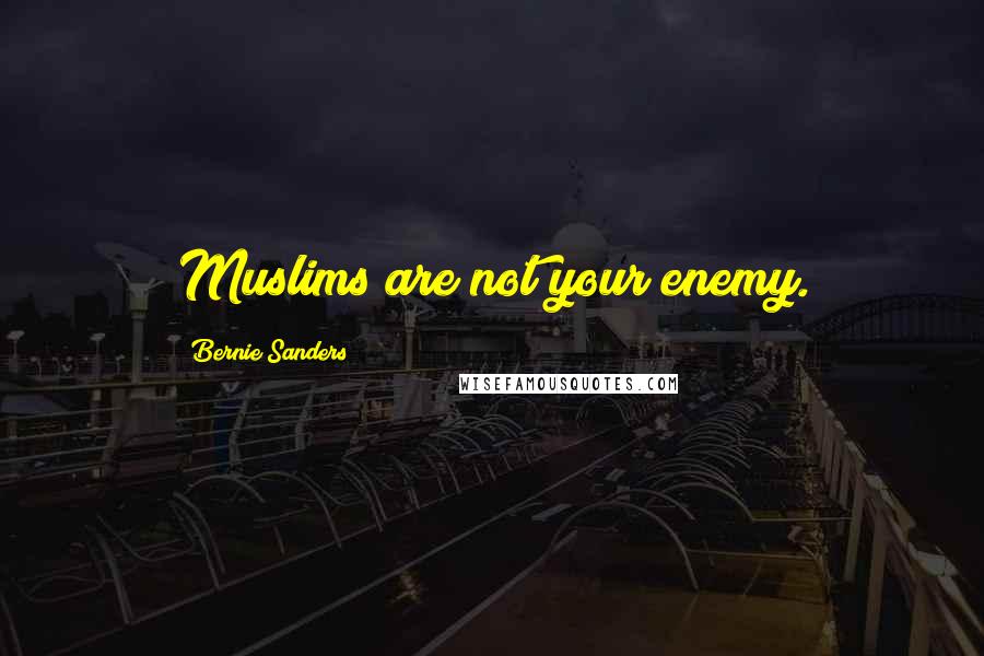 Bernie Sanders Quotes: Muslims are not your enemy.