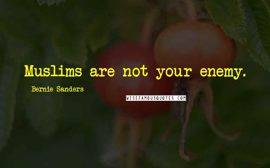 Bernie Sanders Quotes: Muslims are not your enemy.
