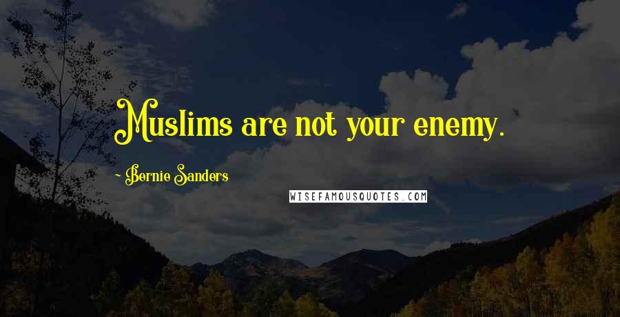 Bernie Sanders Quotes: Muslims are not your enemy.