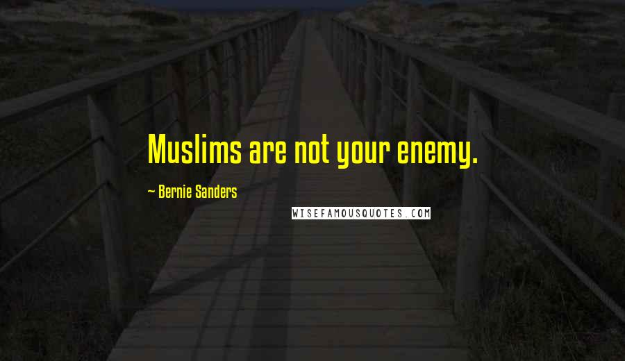 Bernie Sanders Quotes: Muslims are not your enemy.