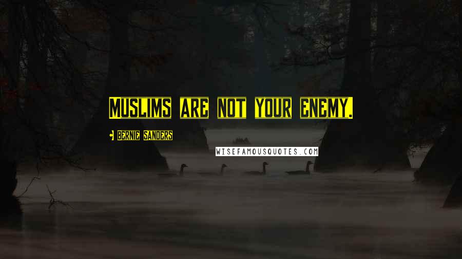 Bernie Sanders Quotes: Muslims are not your enemy.