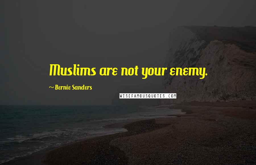 Bernie Sanders Quotes: Muslims are not your enemy.