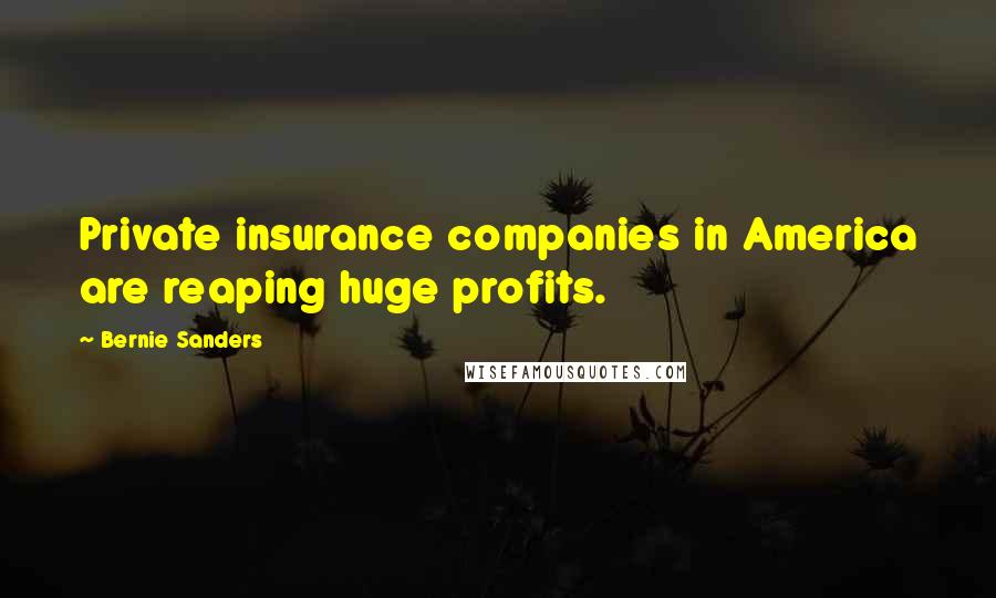 Bernie Sanders Quotes: Private insurance companies in America are reaping huge profits.