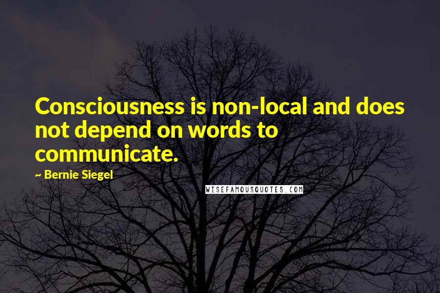 Bernie Siegel Quotes: Consciousness is non-local and does not depend on words to communicate.