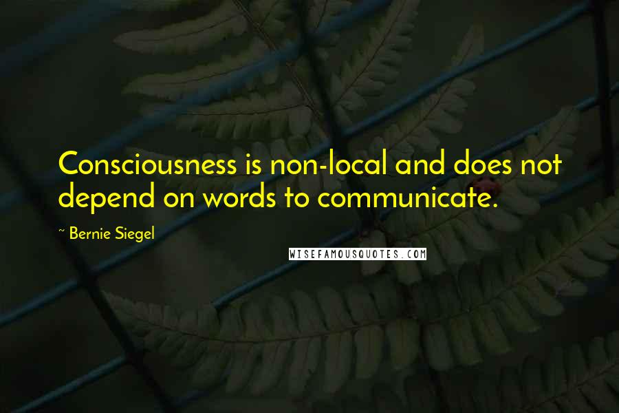 Bernie Siegel Quotes: Consciousness is non-local and does not depend on words to communicate.