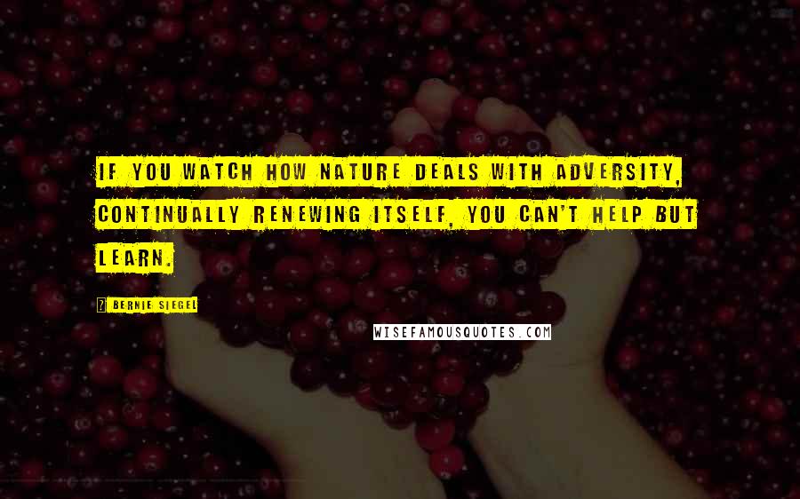 Bernie Siegel Quotes: If you watch how nature deals with adversity, continually renewing itself, you can't help but learn.