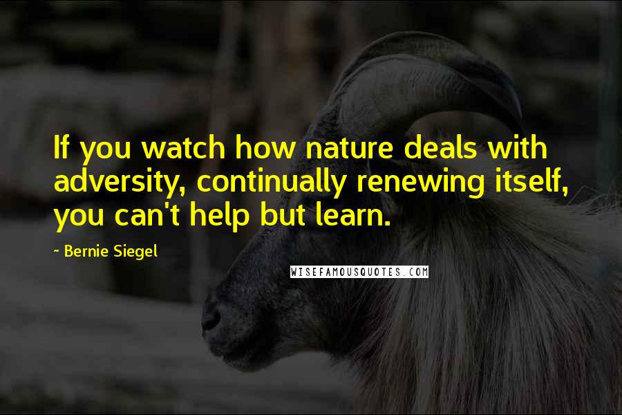 Bernie Siegel Quotes: If you watch how nature deals with adversity, continually renewing itself, you can't help but learn.