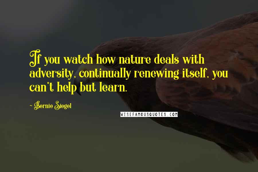 Bernie Siegel Quotes: If you watch how nature deals with adversity, continually renewing itself, you can't help but learn.