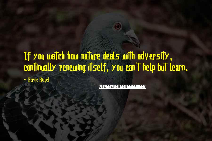 Bernie Siegel Quotes: If you watch how nature deals with adversity, continually renewing itself, you can't help but learn.