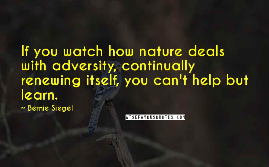 Bernie Siegel Quotes: If you watch how nature deals with adversity, continually renewing itself, you can't help but learn.