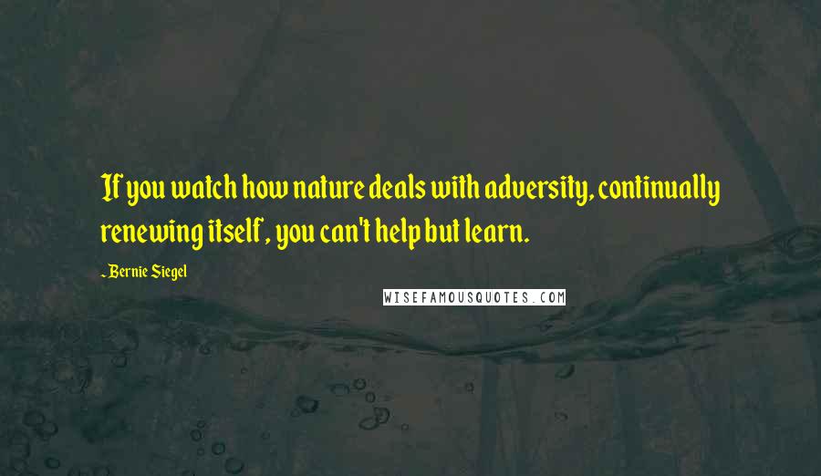 Bernie Siegel Quotes: If you watch how nature deals with adversity, continually renewing itself, you can't help but learn.