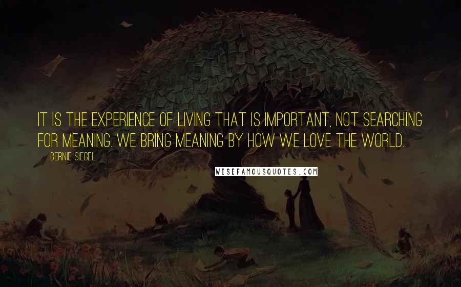 Bernie Siegel Quotes: It is the experience of living that is important, not searching for meaning. We bring meaning by how we love the world.