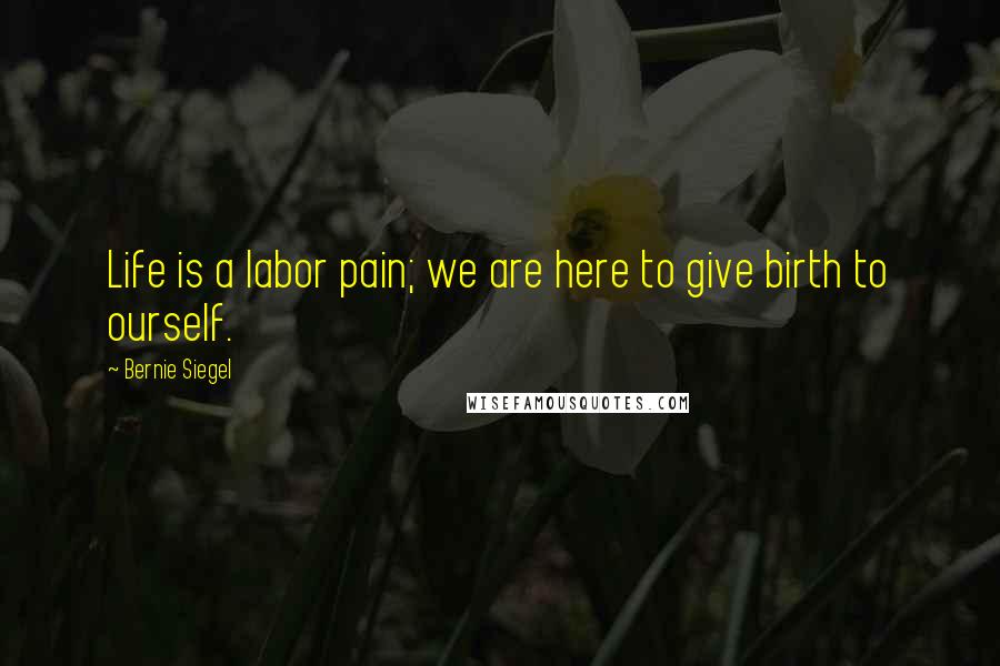 Bernie Siegel Quotes: Life is a labor pain; we are here to give birth to ourself.