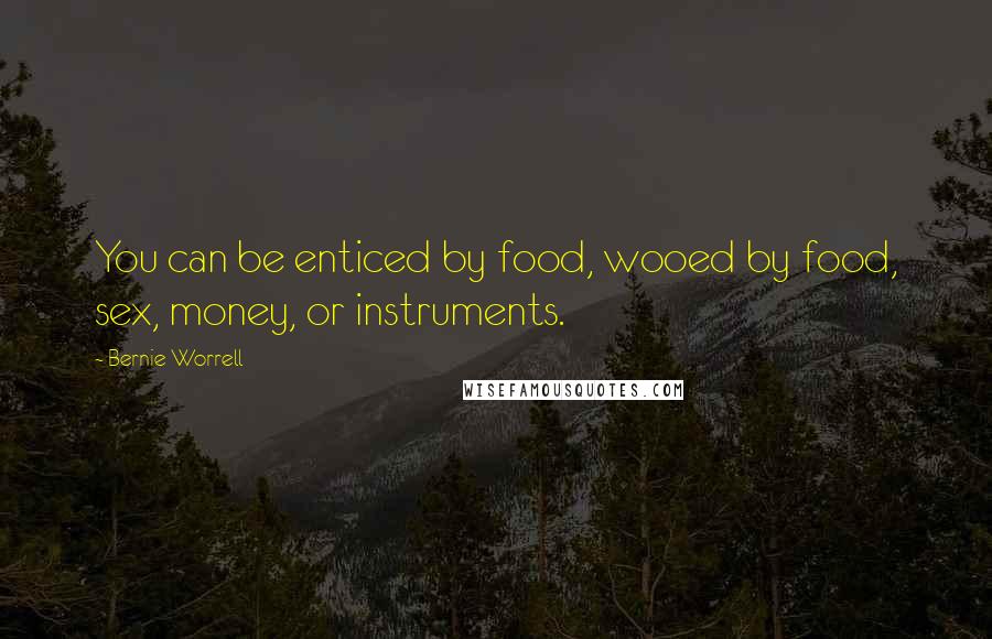 Bernie Worrell Quotes: You can be enticed by food, wooed by food, sex, money, or instruments.