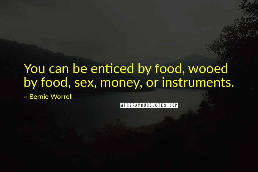 Bernie Worrell Quotes: You can be enticed by food, wooed by food, sex, money, or instruments.