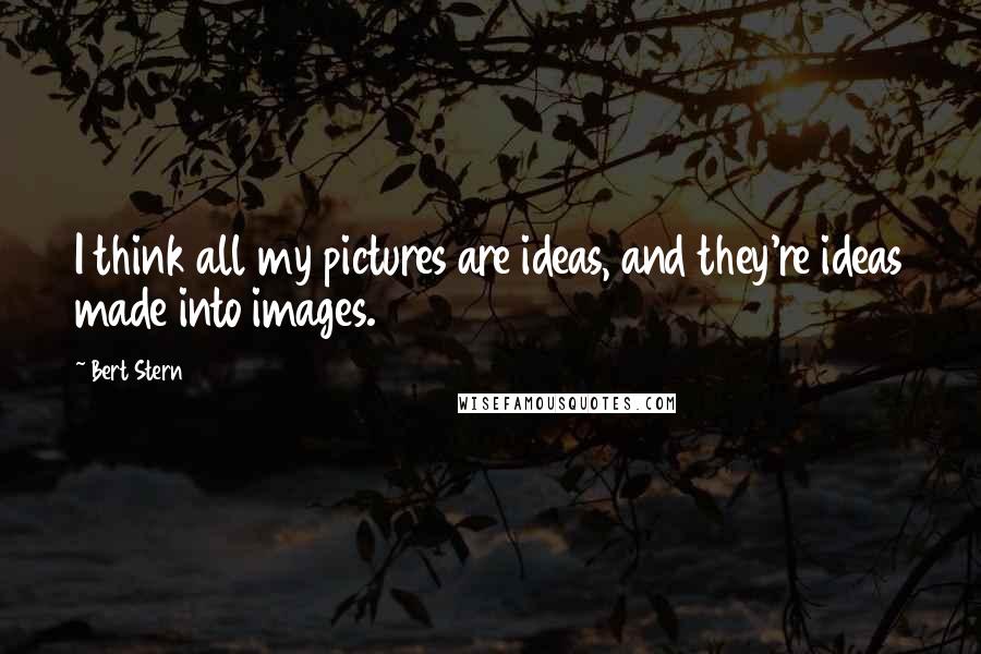 Bert Stern Quotes: I think all my pictures are ideas, and they're ideas made into images.