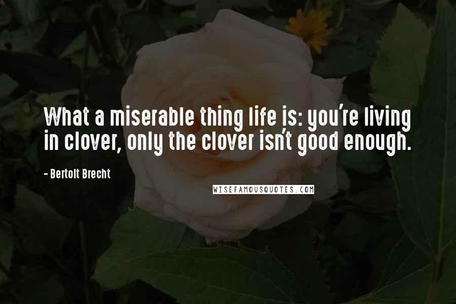 Bertolt Brecht Quotes: What a miserable thing life is: you're living in clover, only the clover isn't good enough.